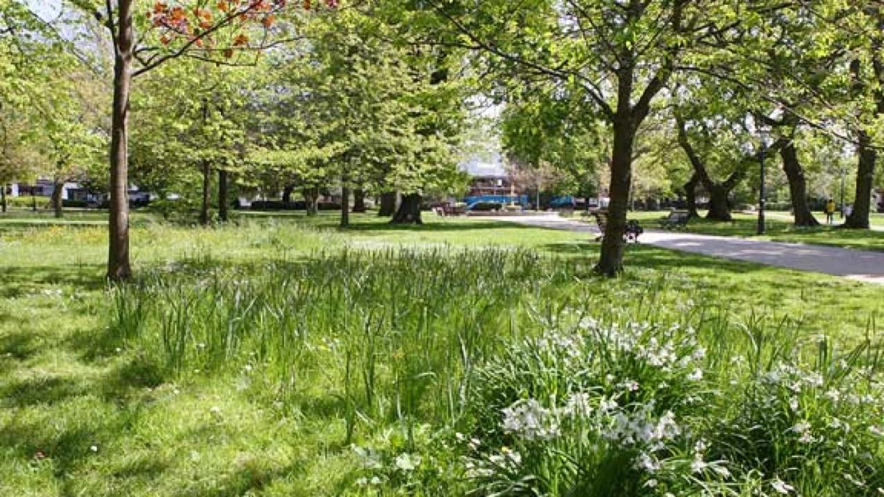Twin Palms Villa Poole Bagian luar foto